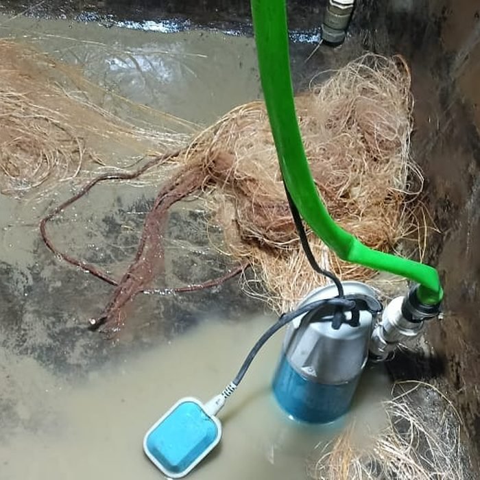 Underground tank outlet clogged with sludge and roots