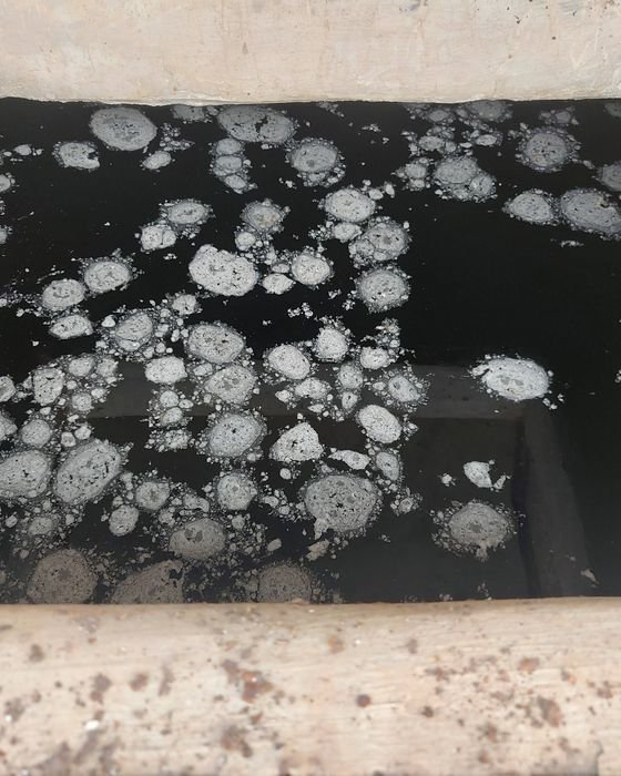 Thick algae and mineral scale buildup inside a water tank